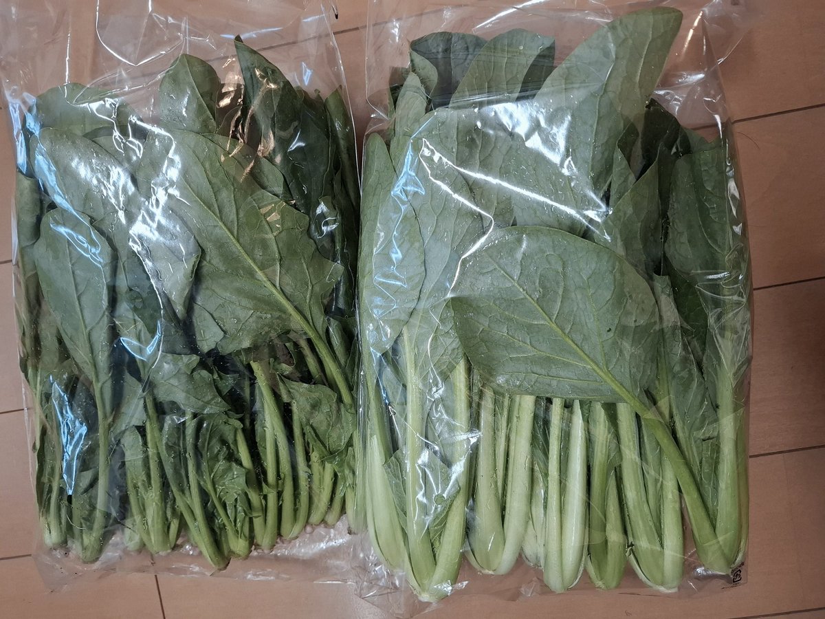 ハンドメイドサークルピュア tweet media