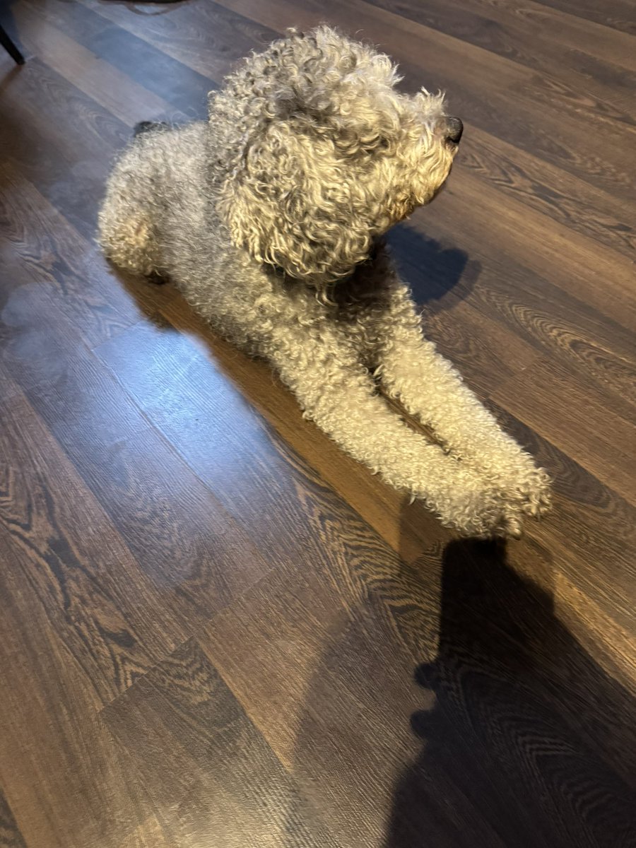 Gage Creed tweet media