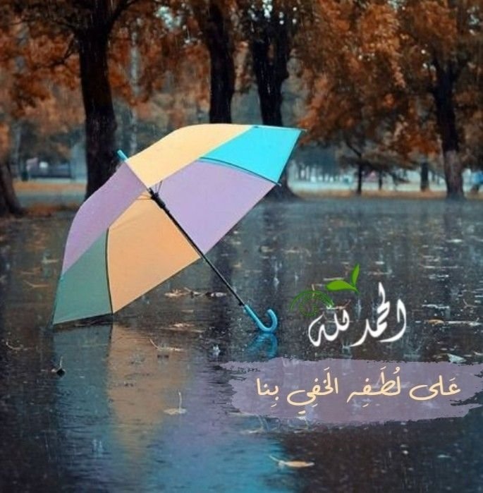 Badriya Alajmi tweet media