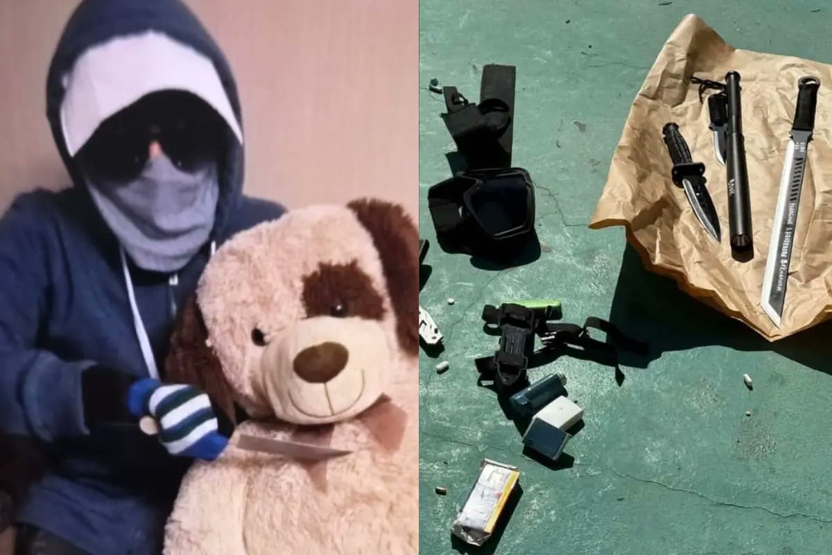 El Hocicon Qlo Anticomunista del 60% tweet media