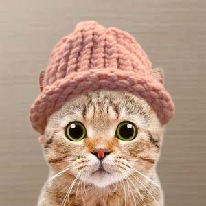 ryan williams tweet media