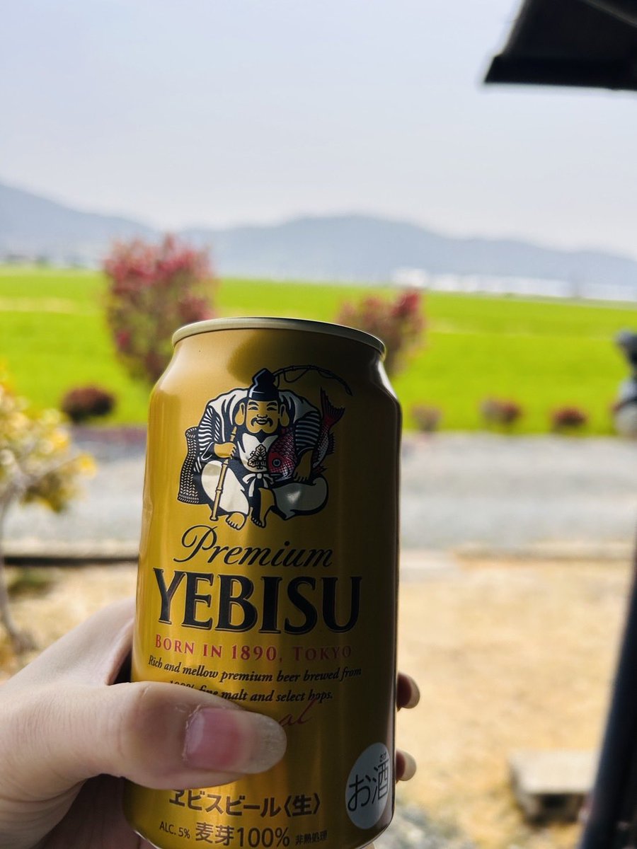 よんいち tweet media