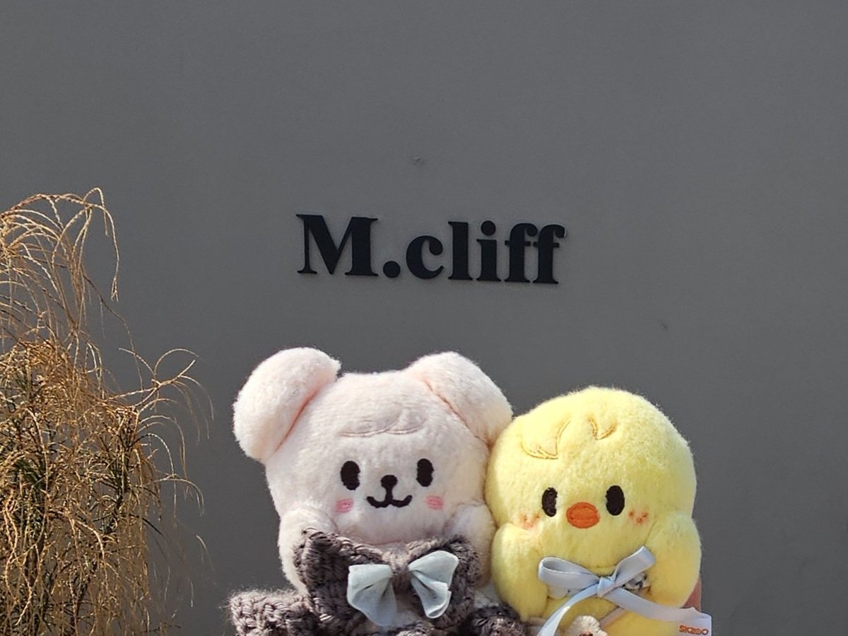 地味子 tweet media