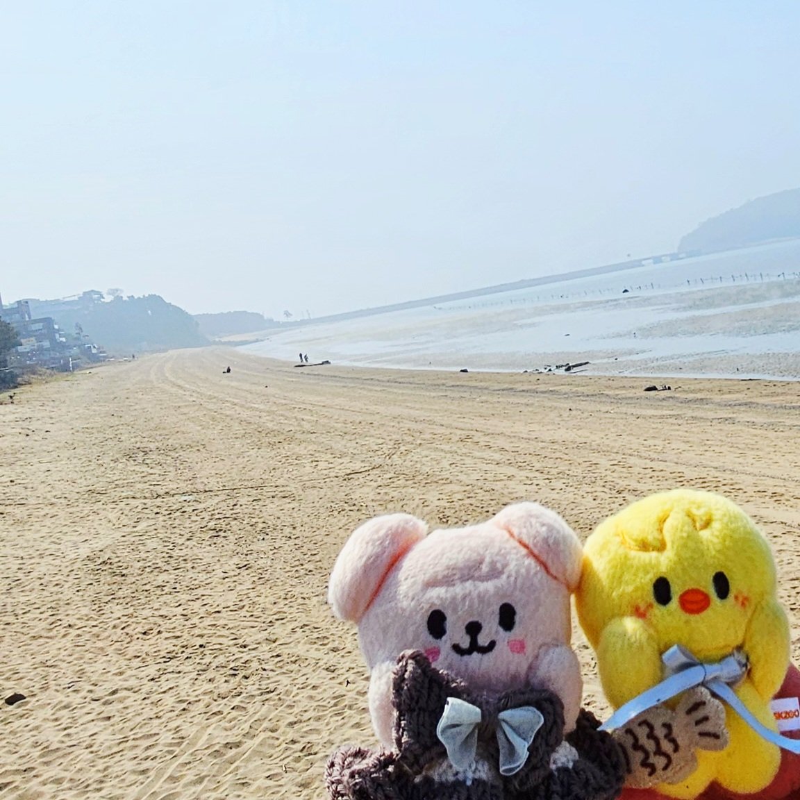 地味子 tweet media