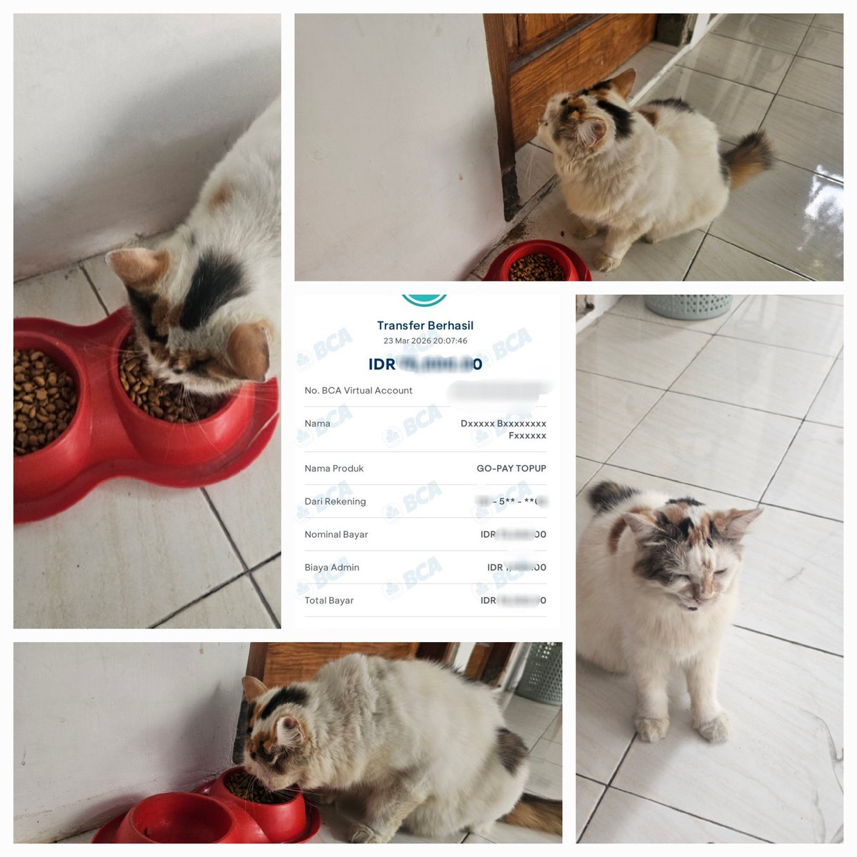 MagerPaws tweet media