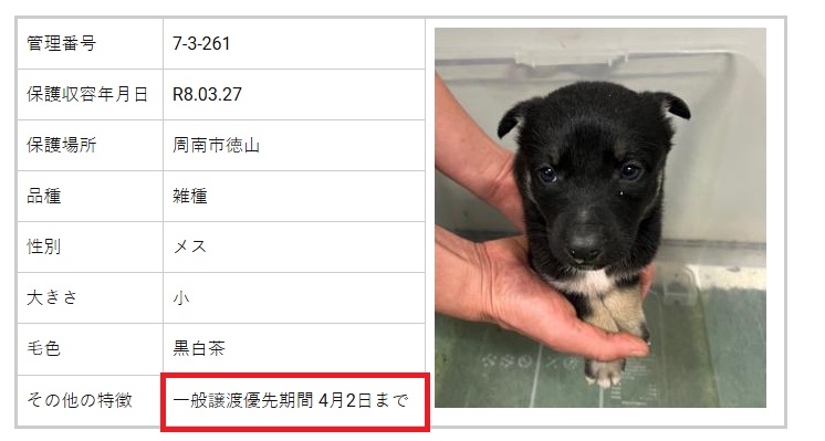 センターで貴方を待っている命があります。山口県 周南健康福祉センター ☎0834336426 tweet media