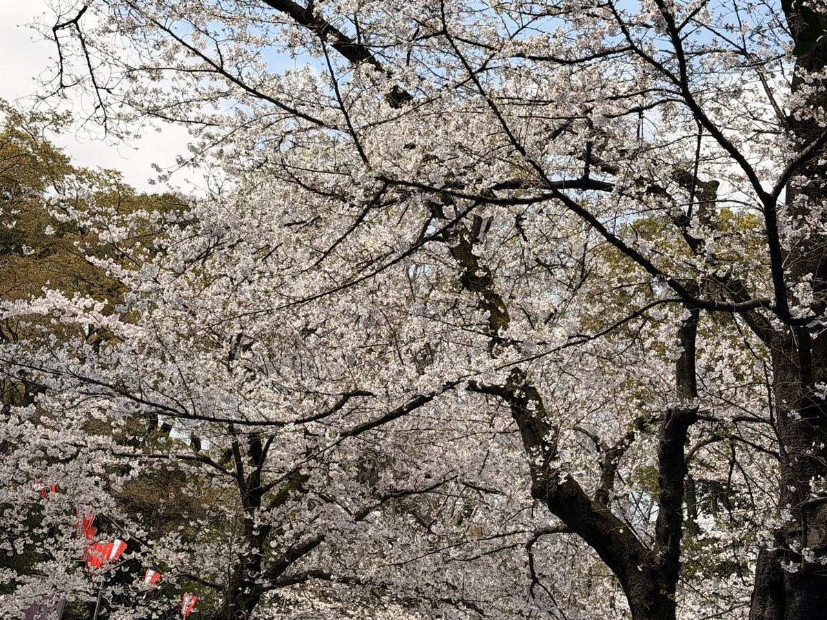 零@Hide&Attack tweet media