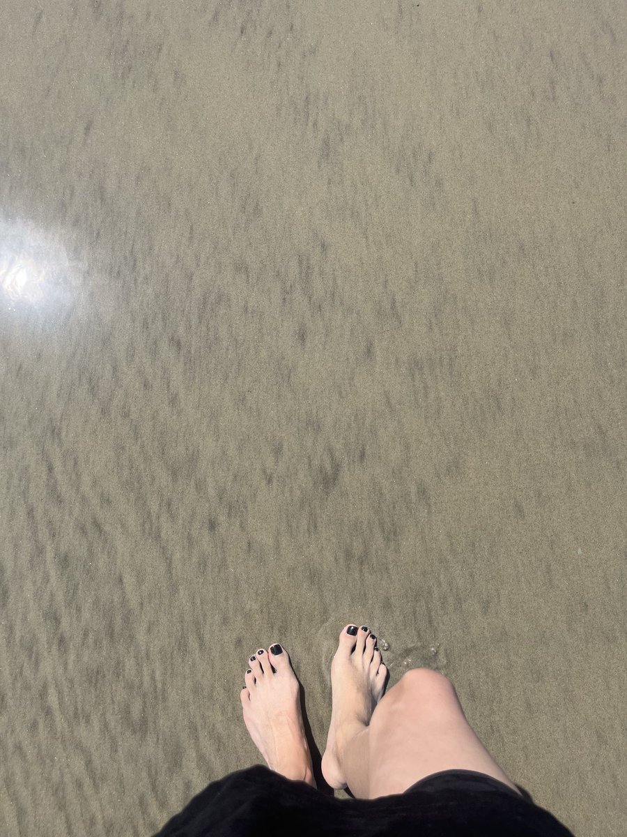 Raven 🦇 tweet media