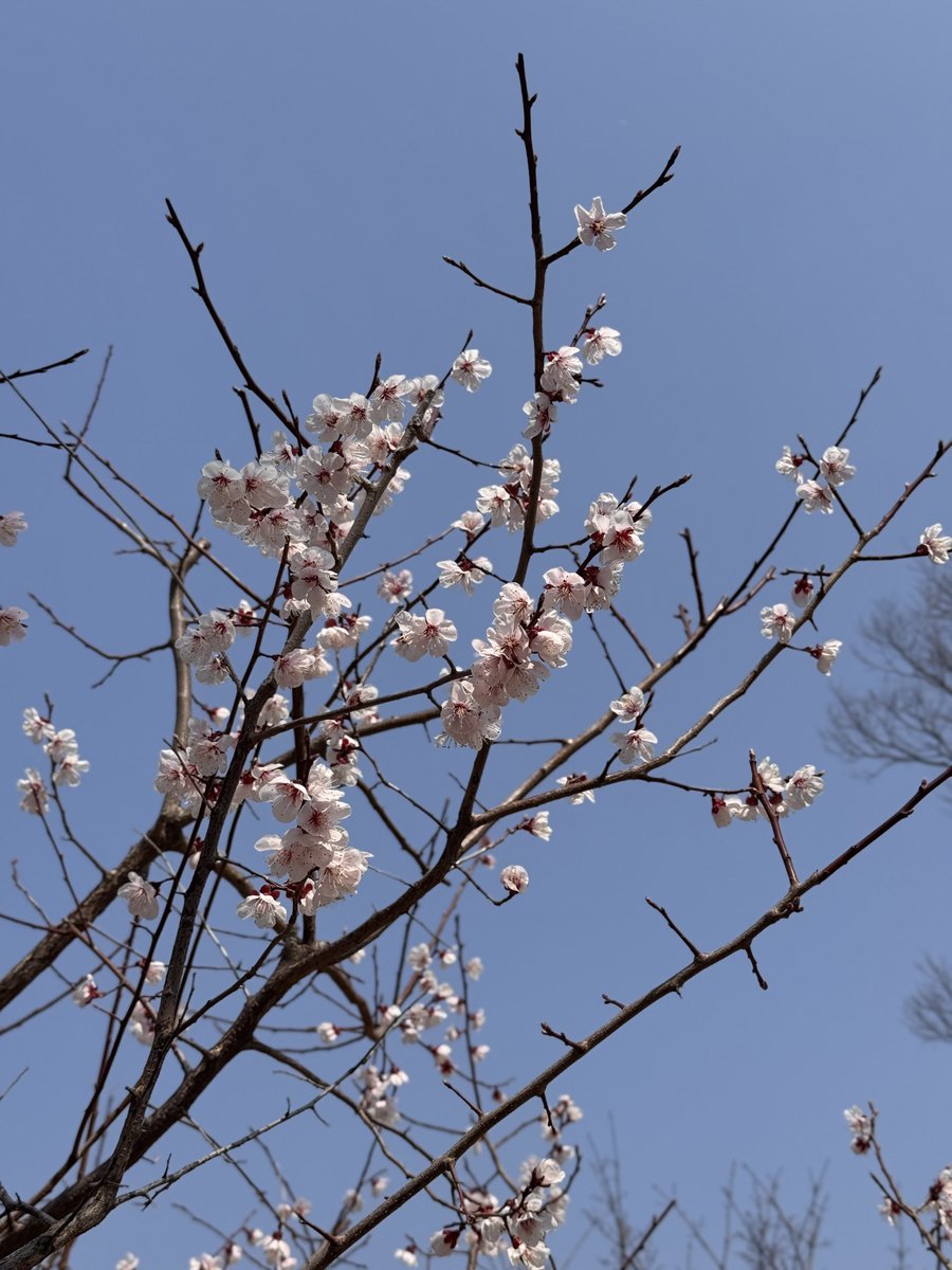 미미즈 tweet media