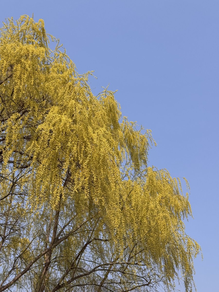 미미즈 tweet media