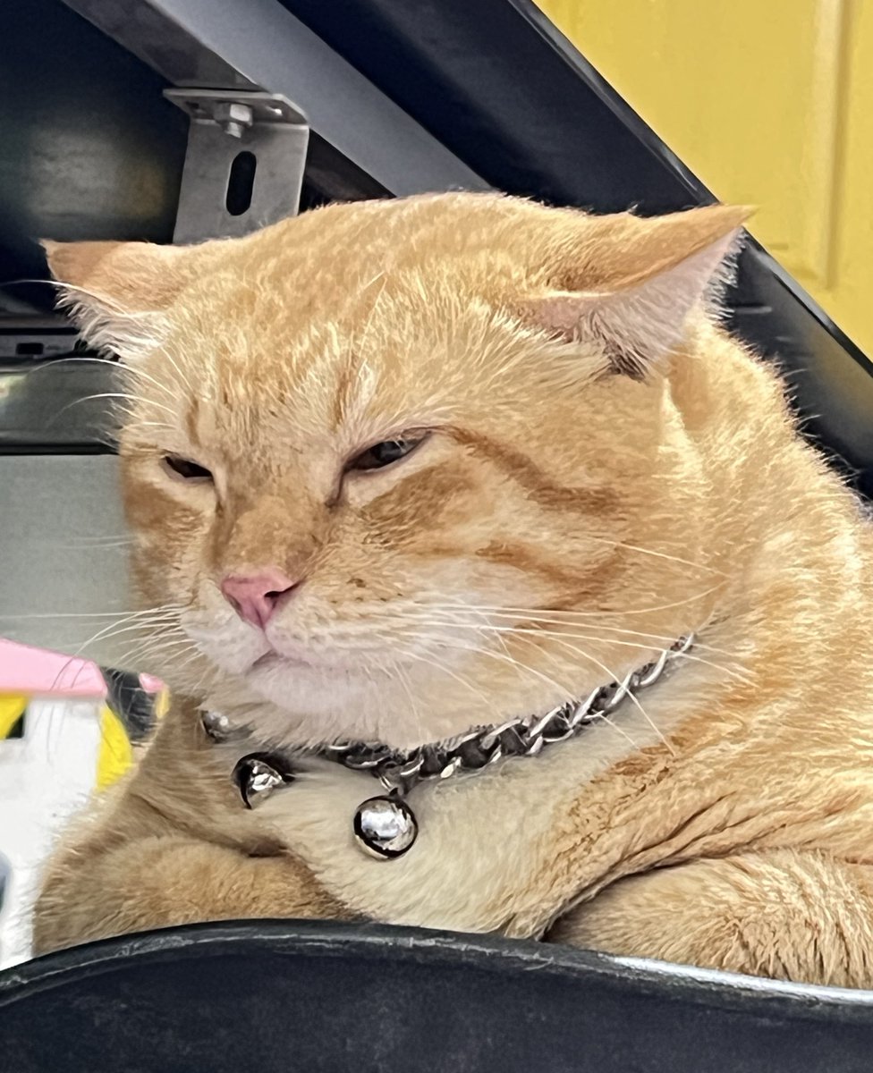 Pak RT Koko tweet media