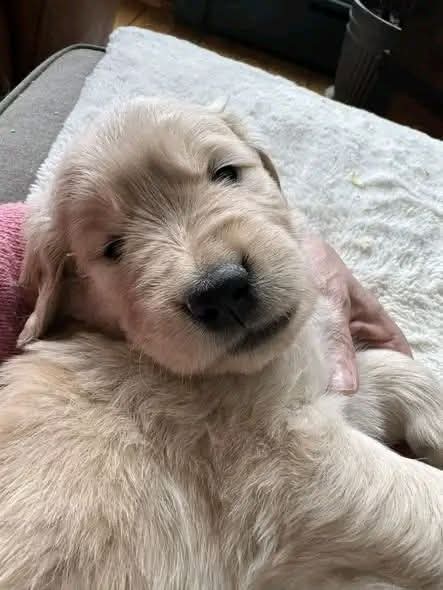 Sara Mary ⭐❤️ tweet media