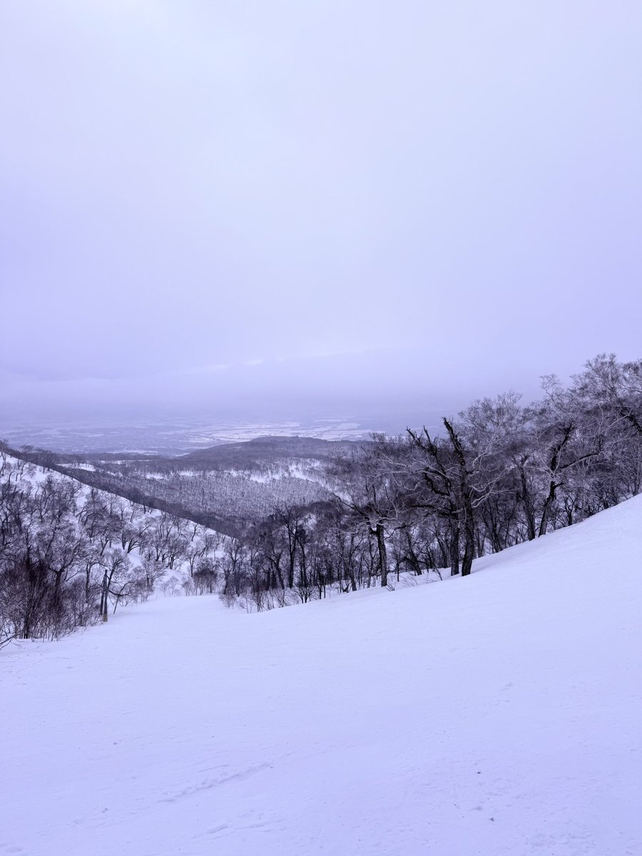 lumi luminyra tweet media