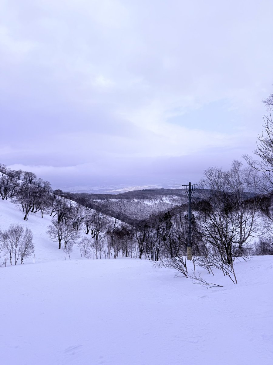 lumi luminyra tweet media