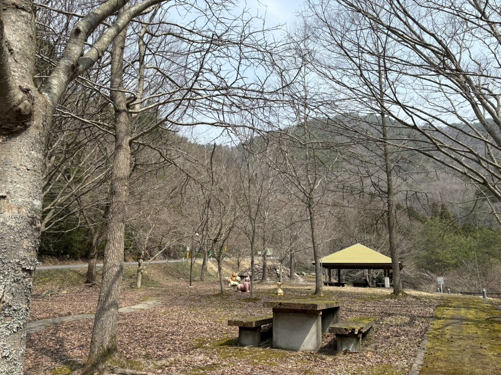 ジャロ tweet media