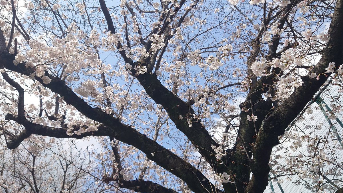 はなれ tweet media