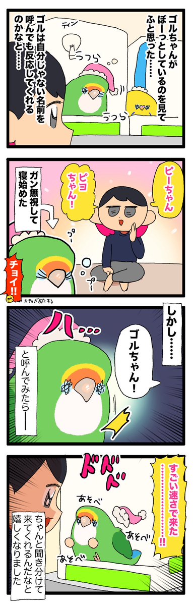 えるぽぴ ▶︎4/4,5 鳥フェス広島,大宮 tweet media