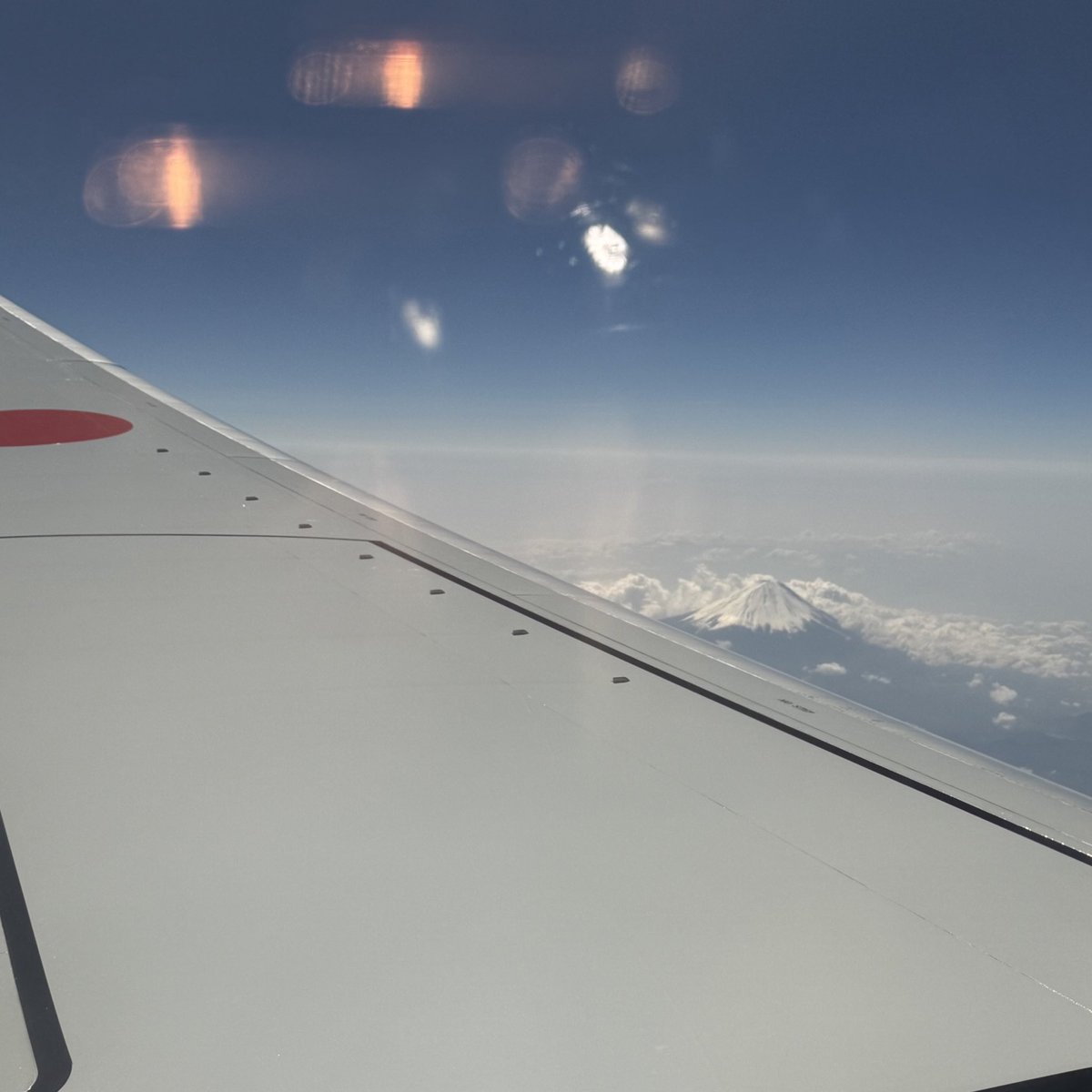 獅子堂寧々🦁ྀི tweet media