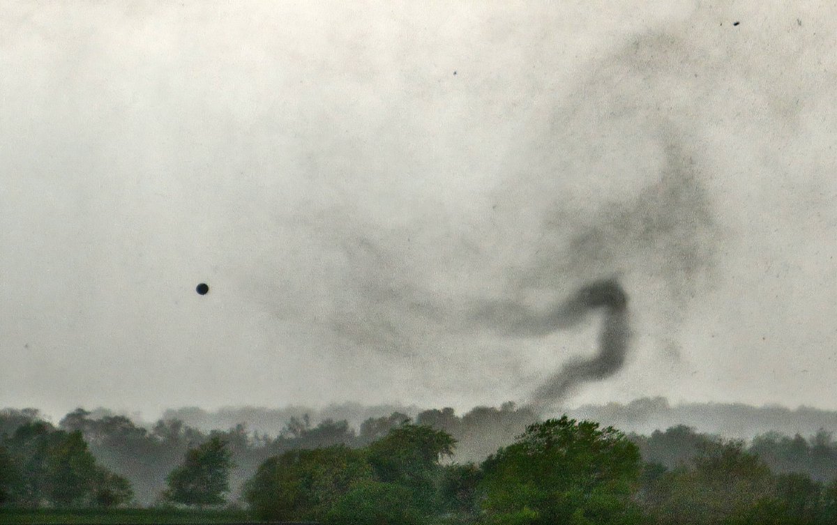 James Wilson tweet media