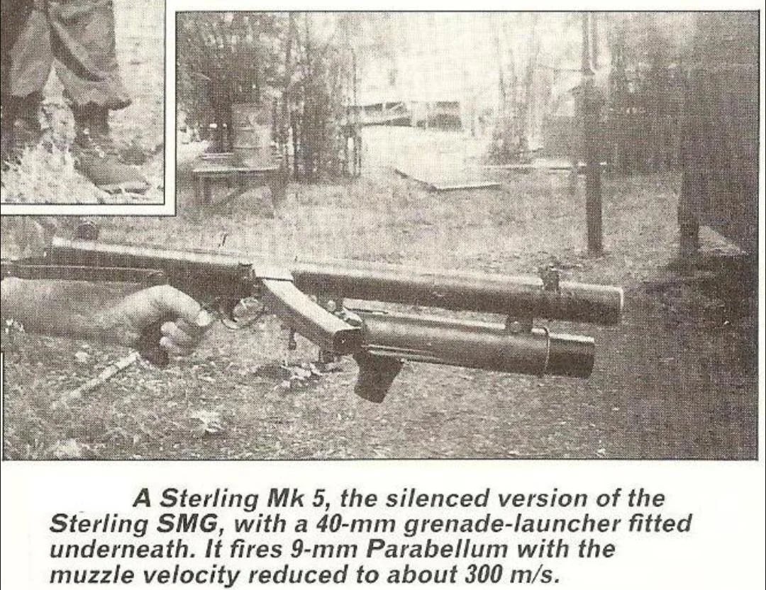 Puddin’ tweet media