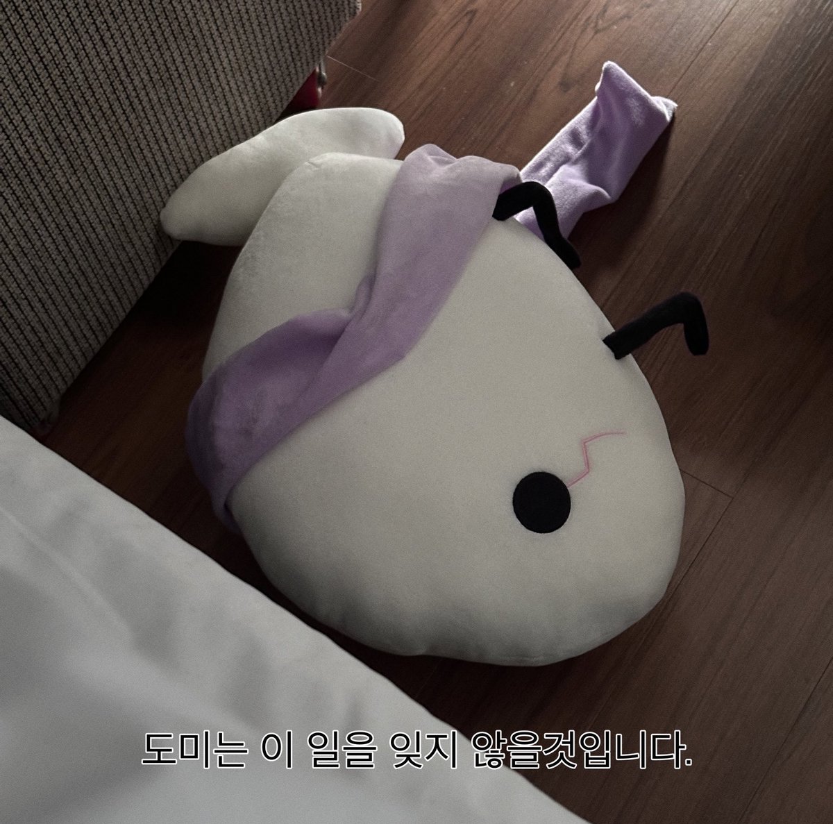 곰팡이젤리 tweet media