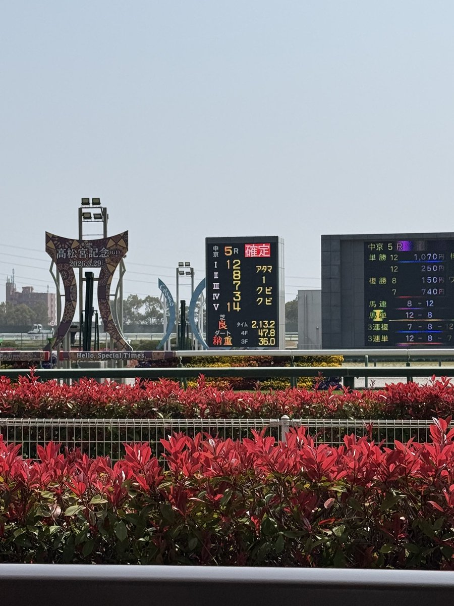 あんみつ🎸 tweet media