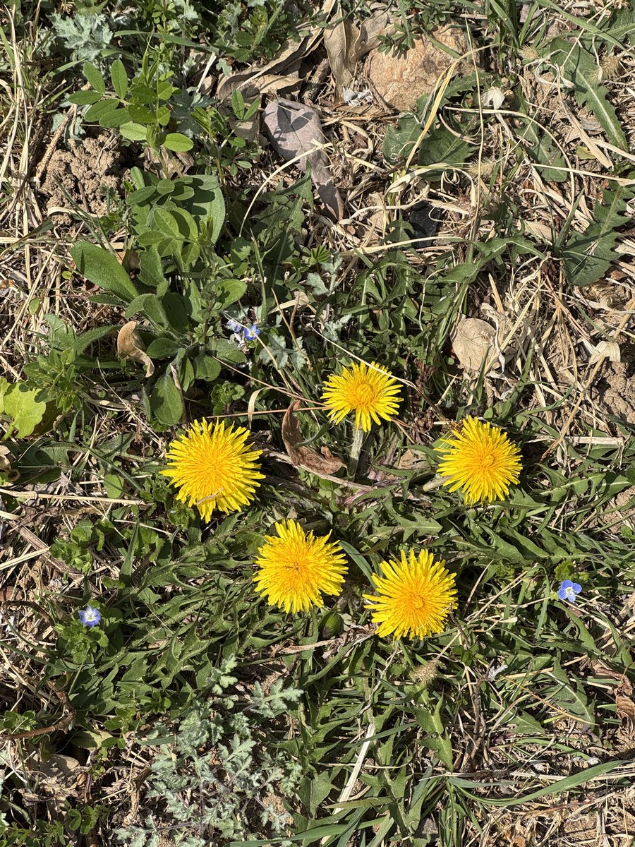 딴콩뮨🥜🌙 tweet media