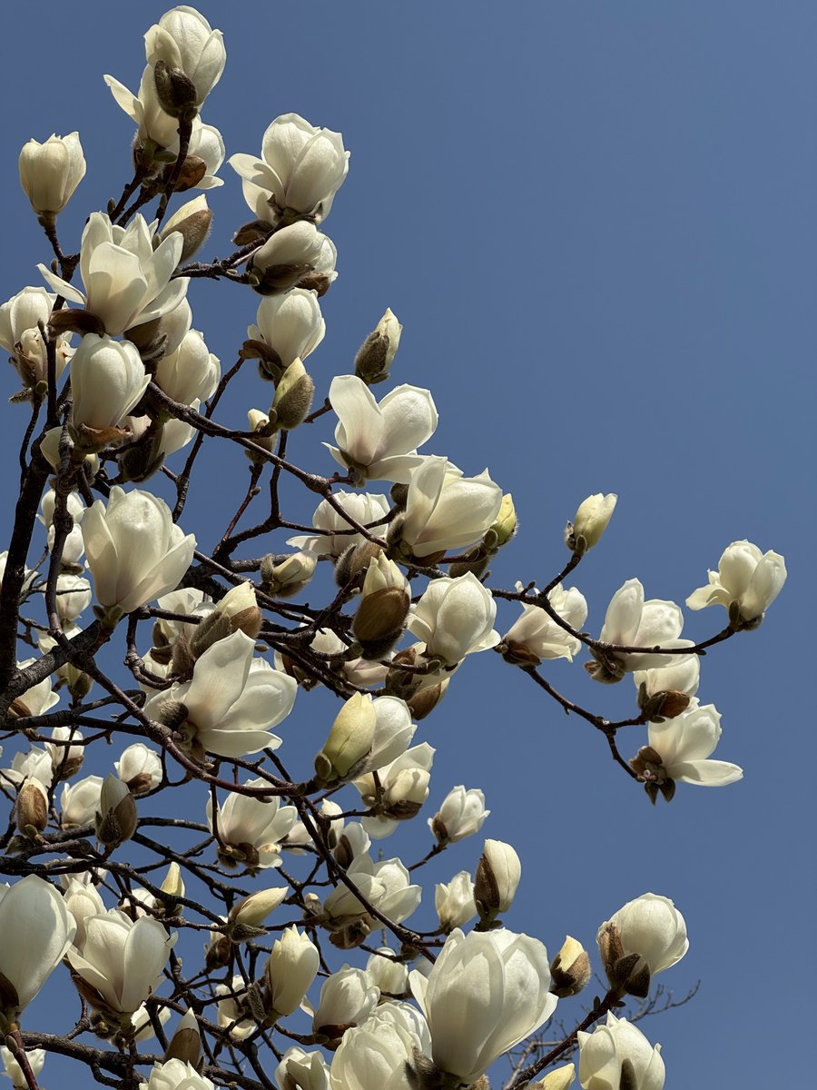 딴콩뮨🥜🌙 tweet media