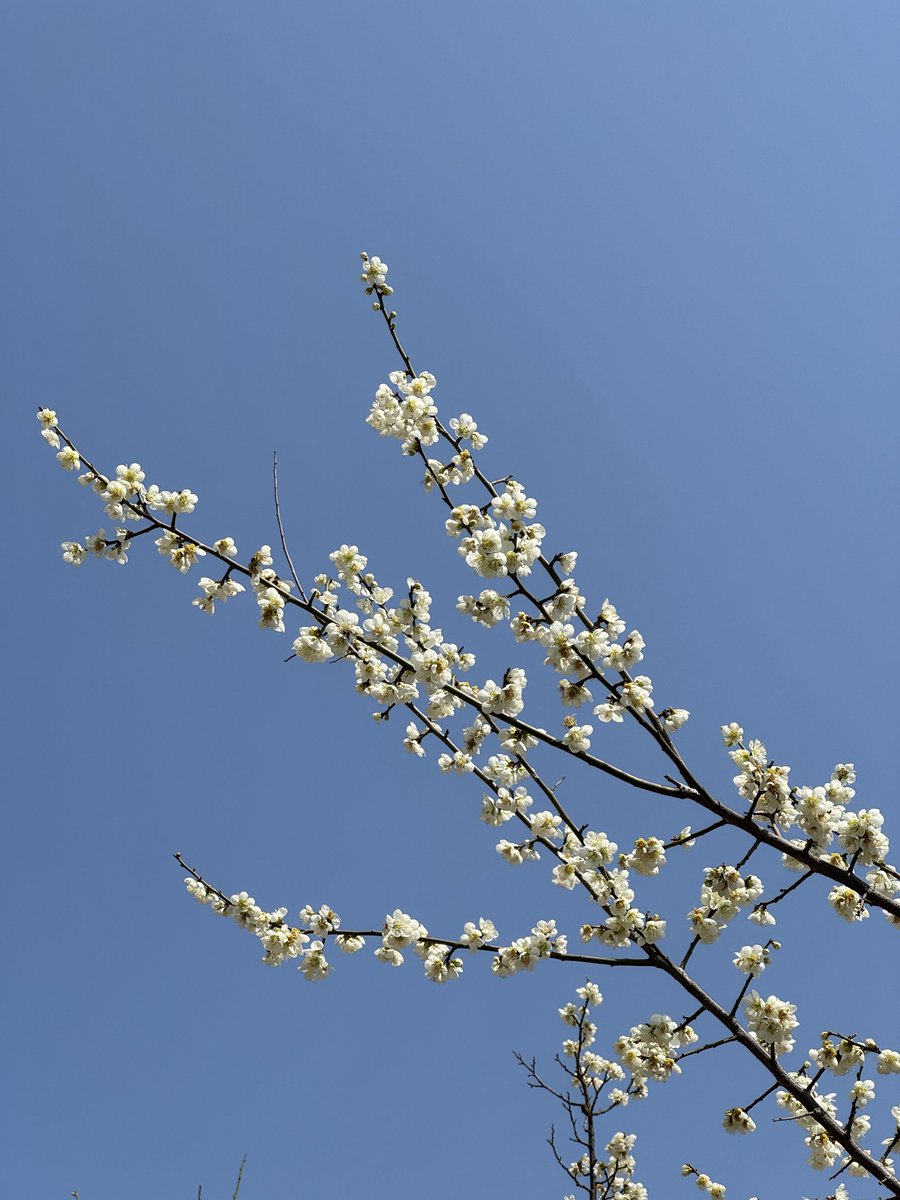 딴콩뮨🥜🌙 tweet media