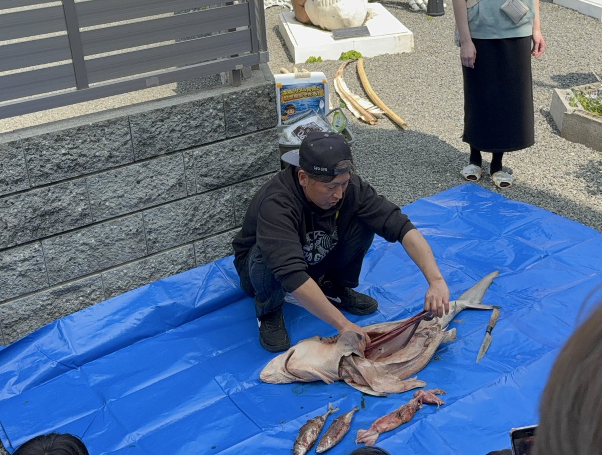 尼崎のシャレコーベミュージアムにて開催中の
第３回❴MITOSUI〜東大阪ミニミニ海洋博❵

にきてます！

#尼崎
#シャレコーベミュージアム
#ミトスイ