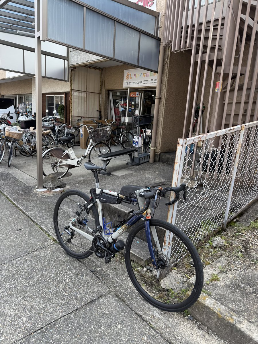 クマ@次戦！ARにほんばしフレッシュ！ tweet media