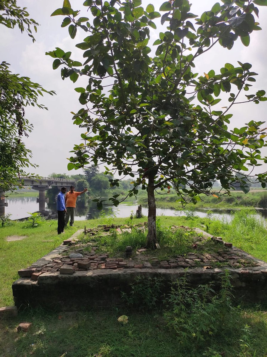 #पर्यावरणीय #धार्मिक एवं #औषधीय महत्व वाला, सैकड़ों वर्ष जीवित रहने वाला भारत का #राष्ट्रीयवृक्ष।
इसके रोपण पोषण करने से #आरोग्य एवं #सुख_समृद्धि की प्राप्ति होती है तथा #पितृदोष दूर होते हैं।
क्या हम अपने जीवनकाल में एक वट वृक्ष का सुरक्षित रोपण कर सकते हैं ?
विचार करें।
#बरगद