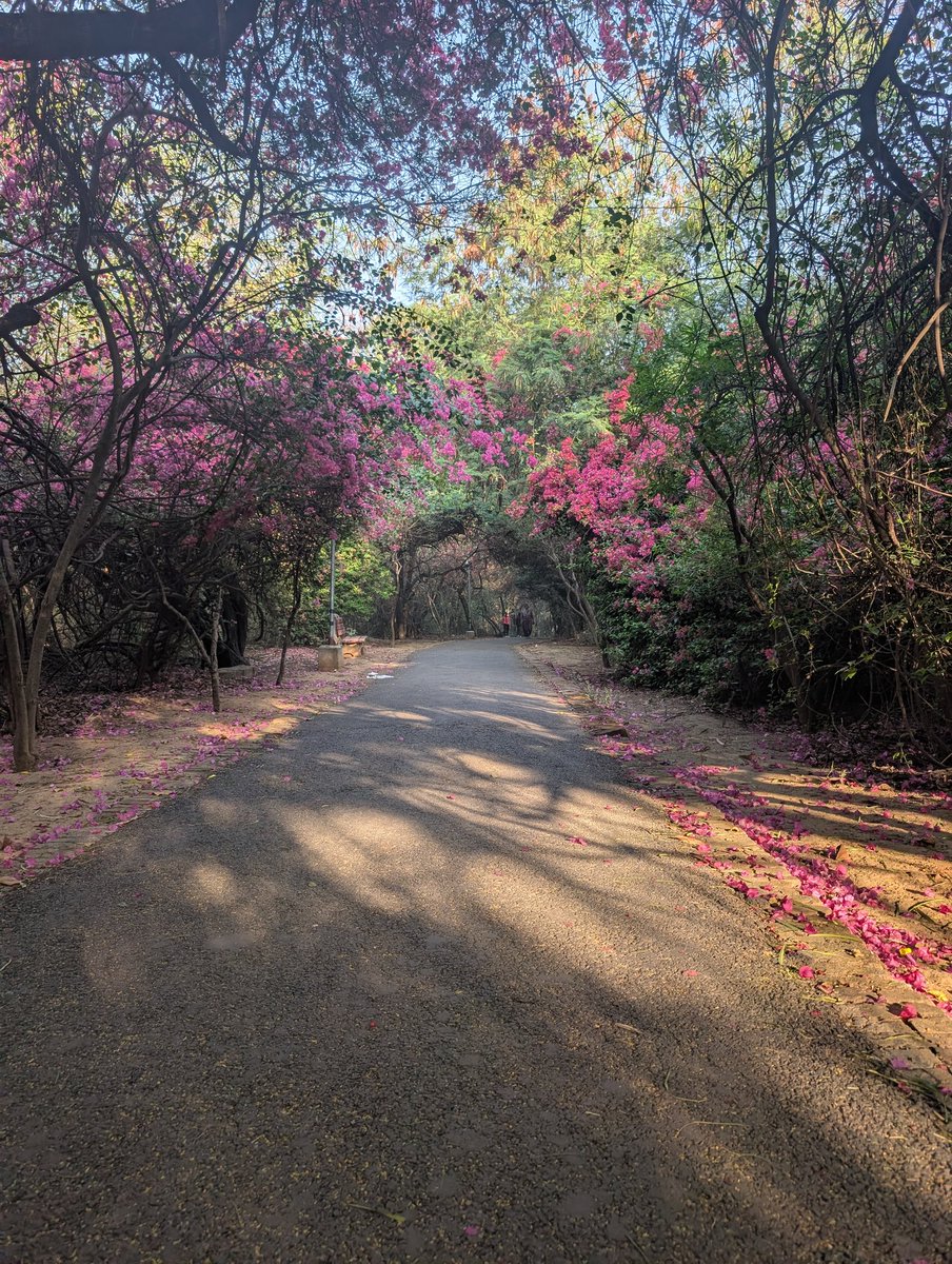 PayalKamat's tweet photo. For the joy of running 🏃‍♀️♥️ https://t.co/dB2yGU1Id0