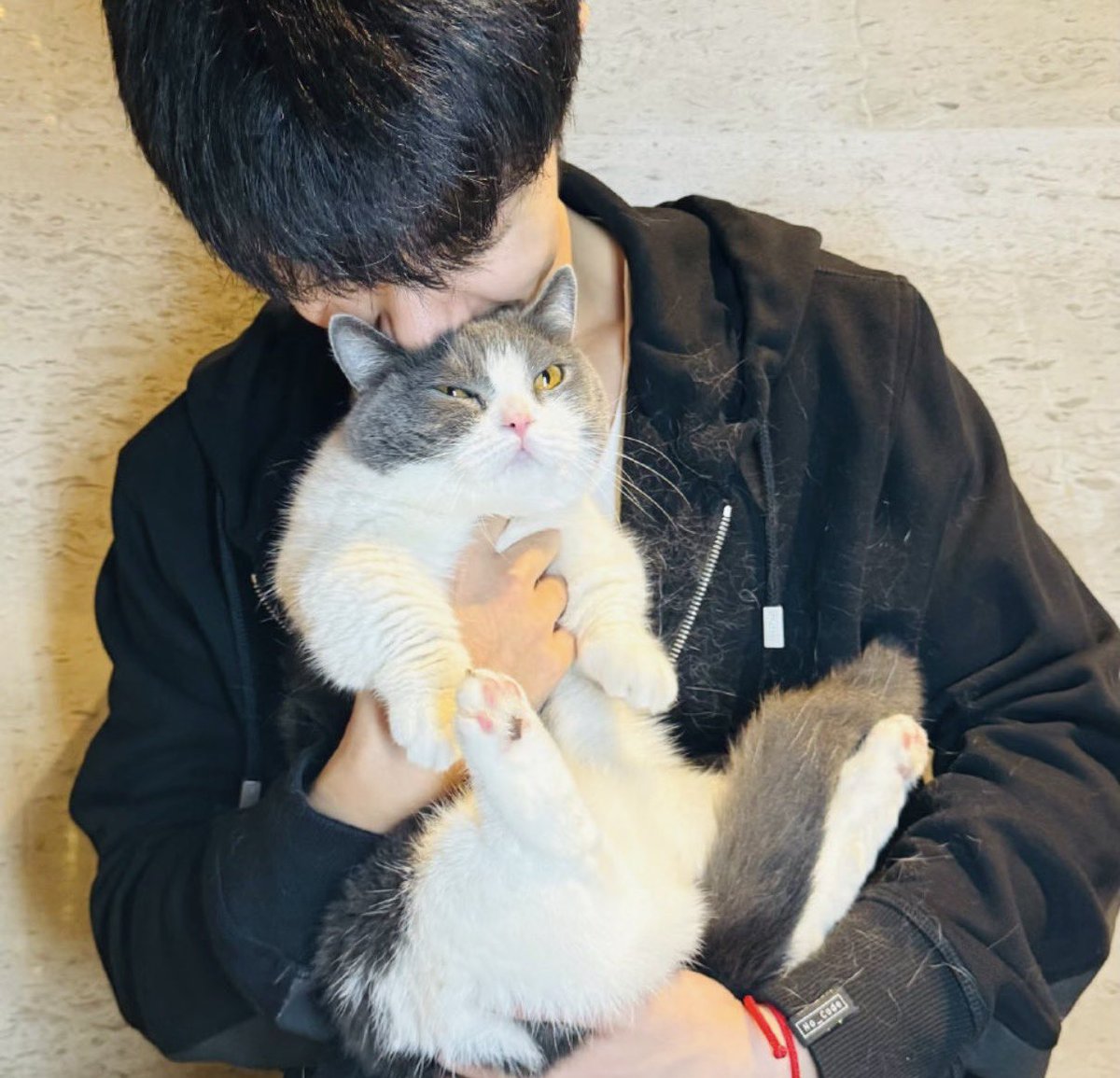 xiaozhan91_1005's tweet photo. 샤오잔 고양이 만지다가 긁혀서 병원에서 주사도 3방 맞고갔다는 썰도 있음 ㅋㅋㅋ ㅠㅠ
고양이조아남성… https://t.co/AGf8jHRxIm