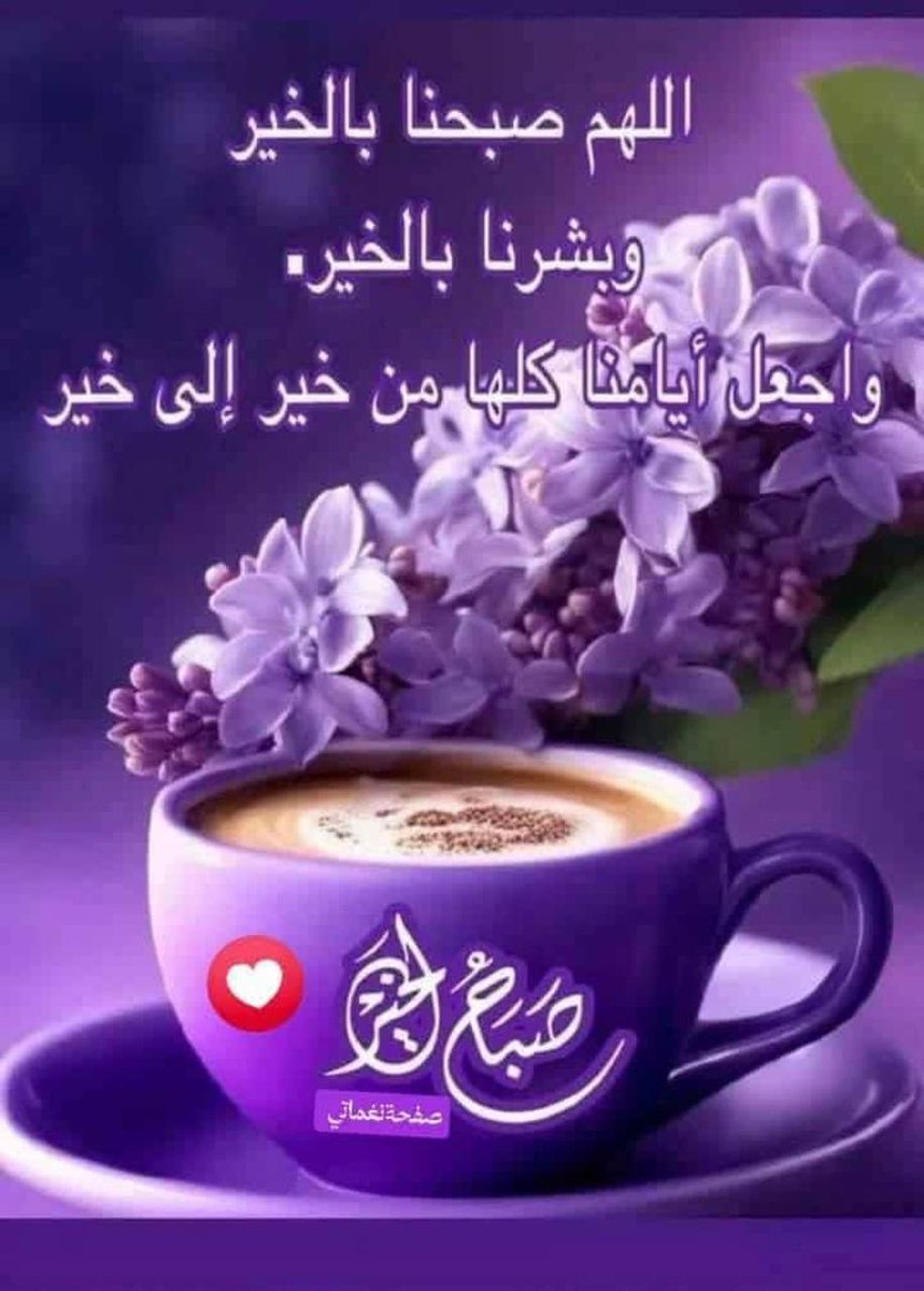 سعيد محمد tweet media