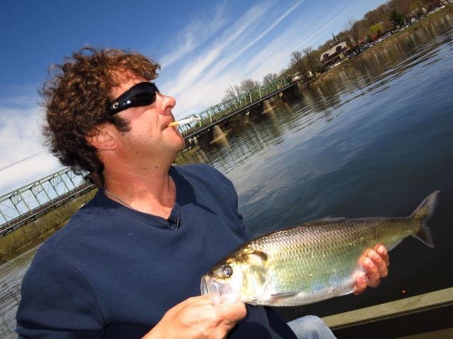 buttacat🚸📋 tweet media