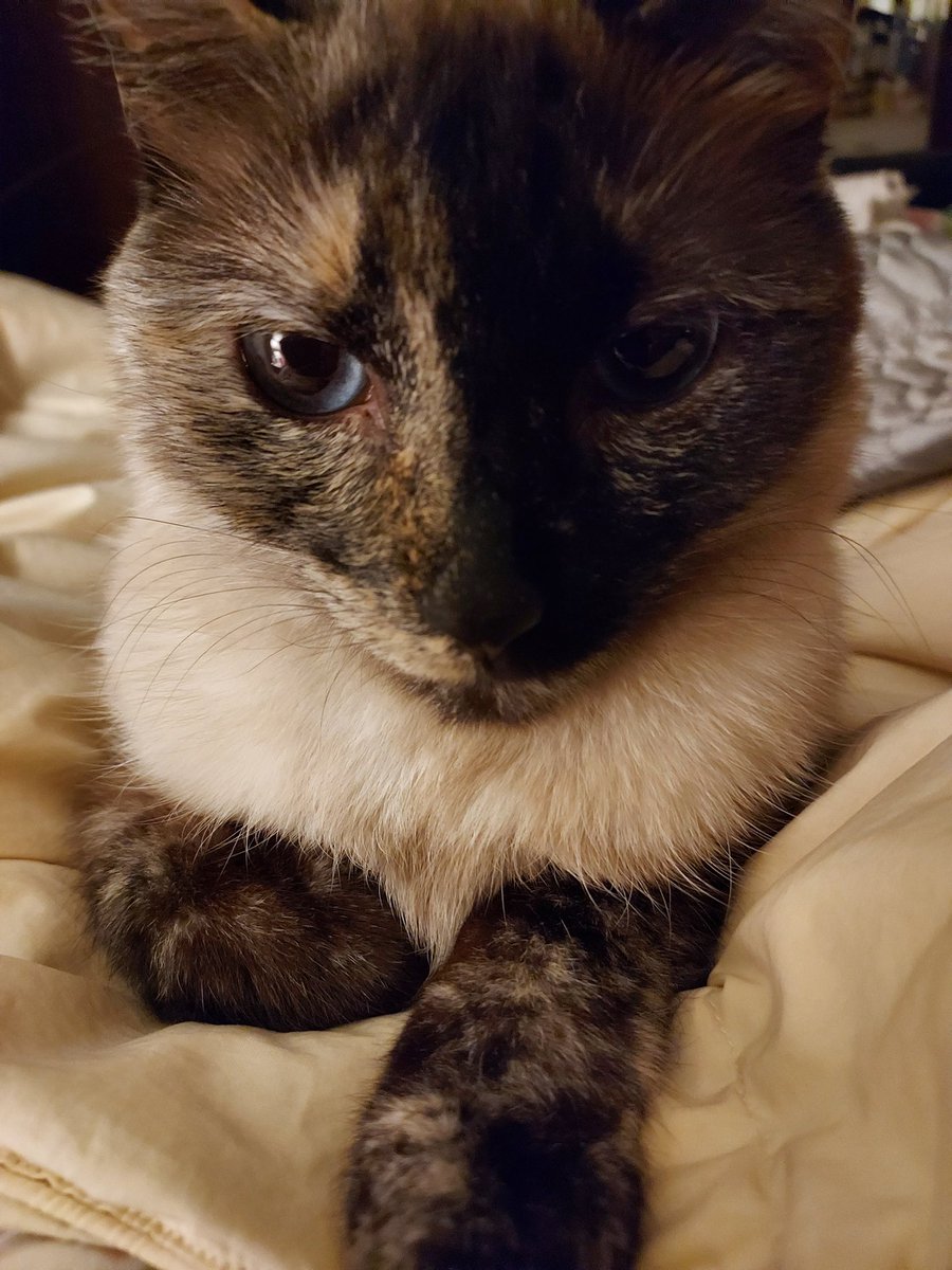 Linda (Lou) Norris tweet media