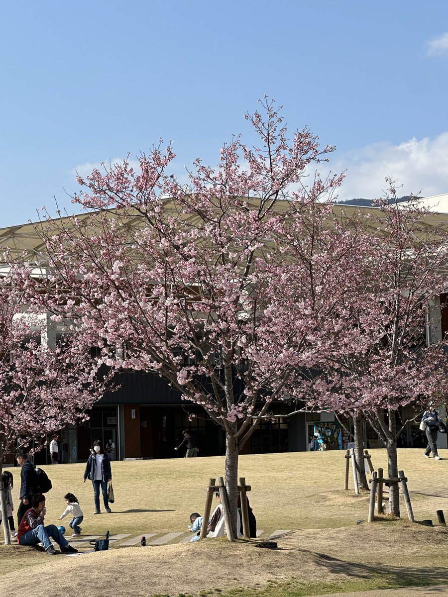 日中は暑くなってきた関西です。
来月は、ジャズフェスなど
イベントが続きますね🎪
4月もすぐですが、ゴールデンウィークも すぐな気がします💦
音響、照明オペレーター空いてる日もあります☝️
機材レンタルもしております。
機材メンテナスも請け負ってます🎤
 #dm