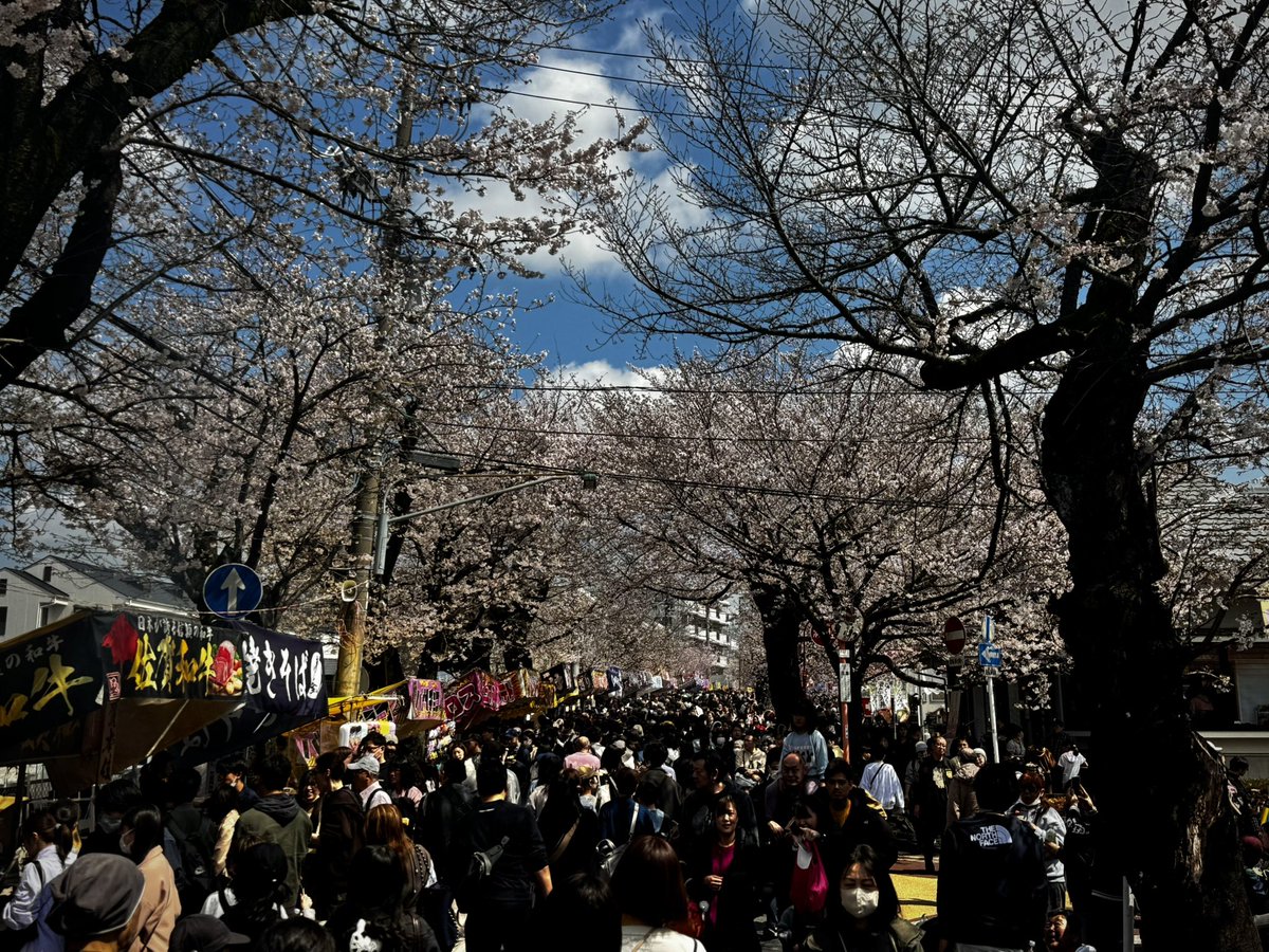 五月雨アポロジー tweet media