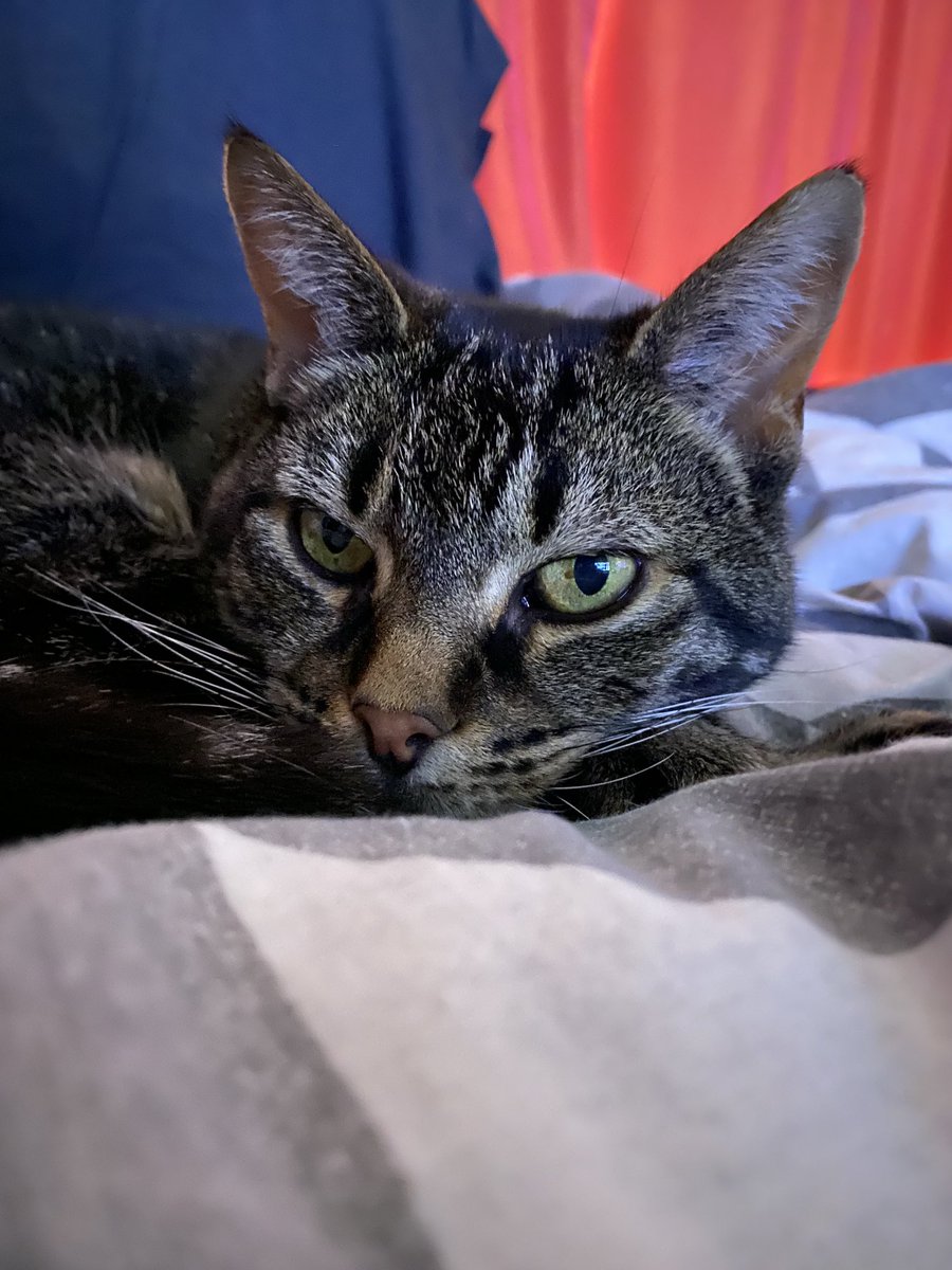 Ex Ranga tweet media