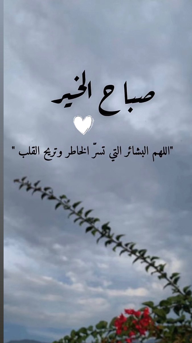 daadoo5656's tweet photo. https://t.co/W4BmeiUlyz