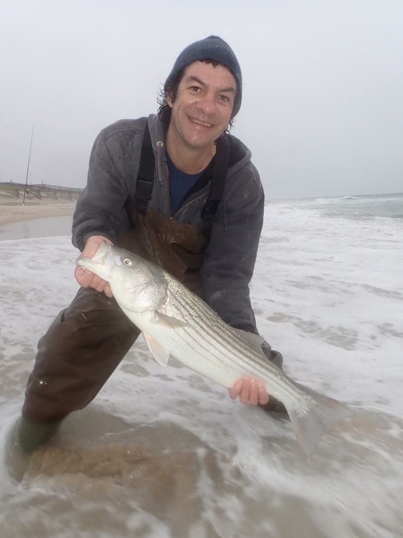 buttacat🚸📋 tweet media