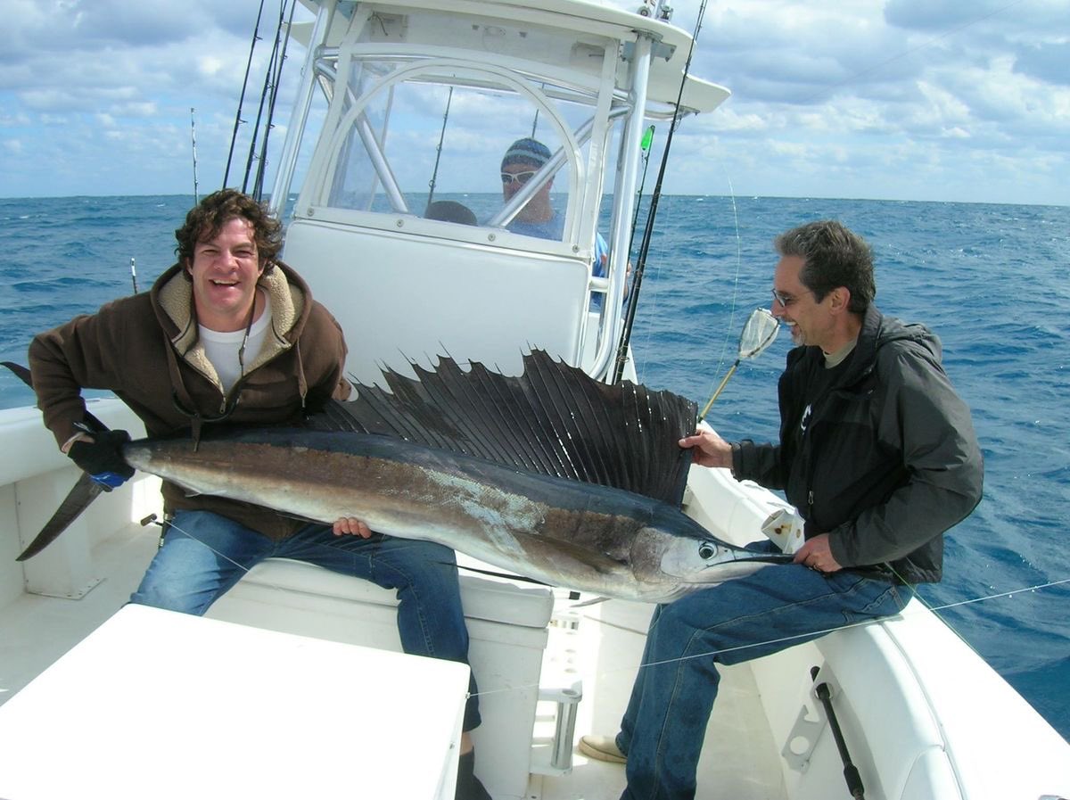 buttacat🚸📋 tweet media