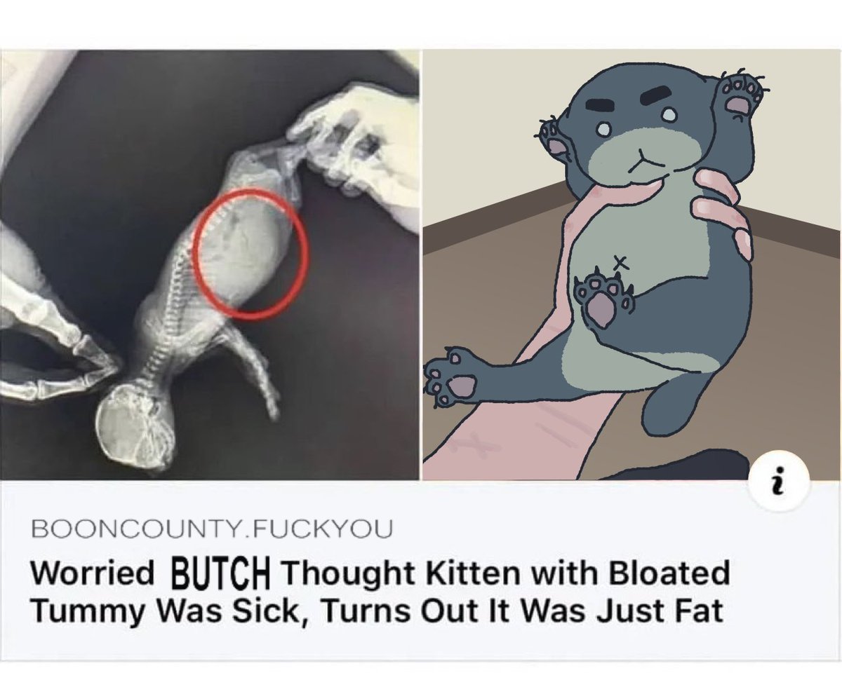 🩸「•ㅅ•」 #1 silentnight truther🍉 tweet media