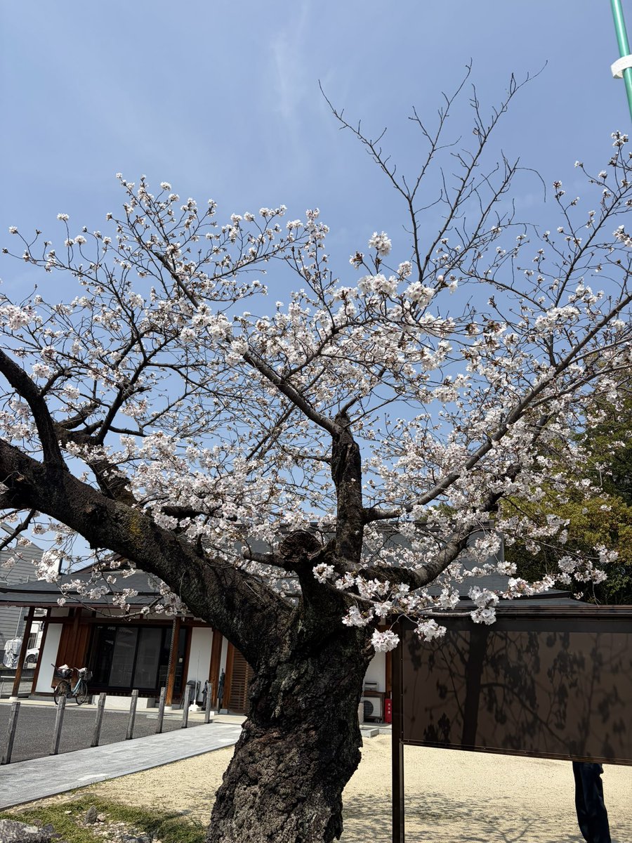 ラジェル@奈良ウルトラ tweet media