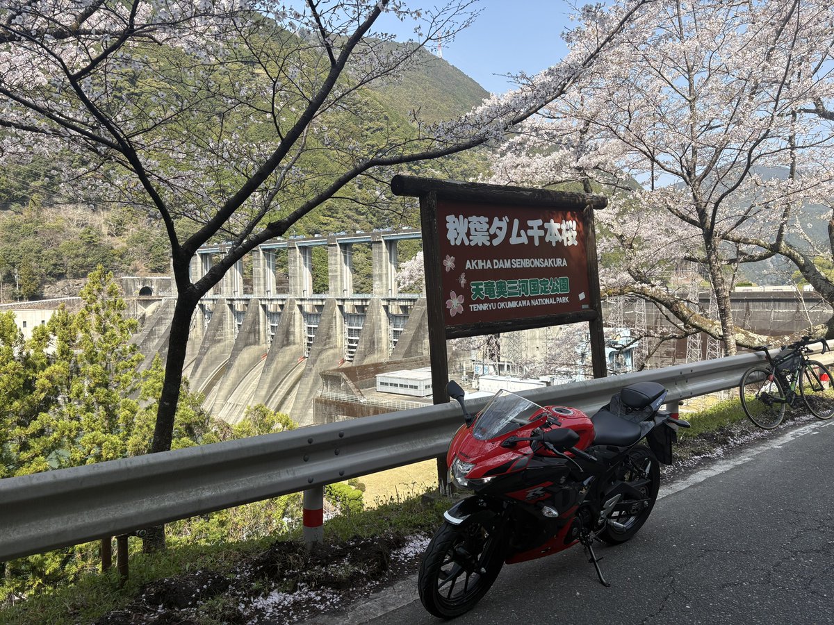 sobumoto's tweet photo. 昨日は富士山、今日は桜を見に秋葉ダムの千本桜へ行って来ました。
gsx-r125で行って来ましたか人、クルマ、バイク、自転車が多かったので足早に退散。
昨日、ウィンタージャケットを洗濯して今日から春秋ジャケットに。
バイクシーズン到来を感じながら走れました。 https://t.co/f63084jXOk