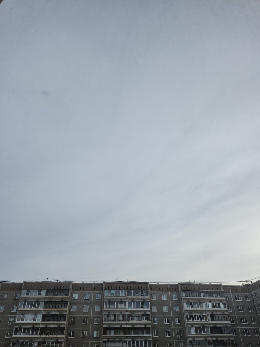 Лисья курочка tweet media