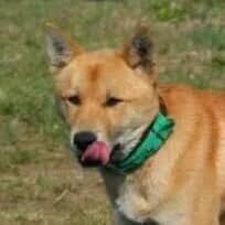 포동호 tweet media