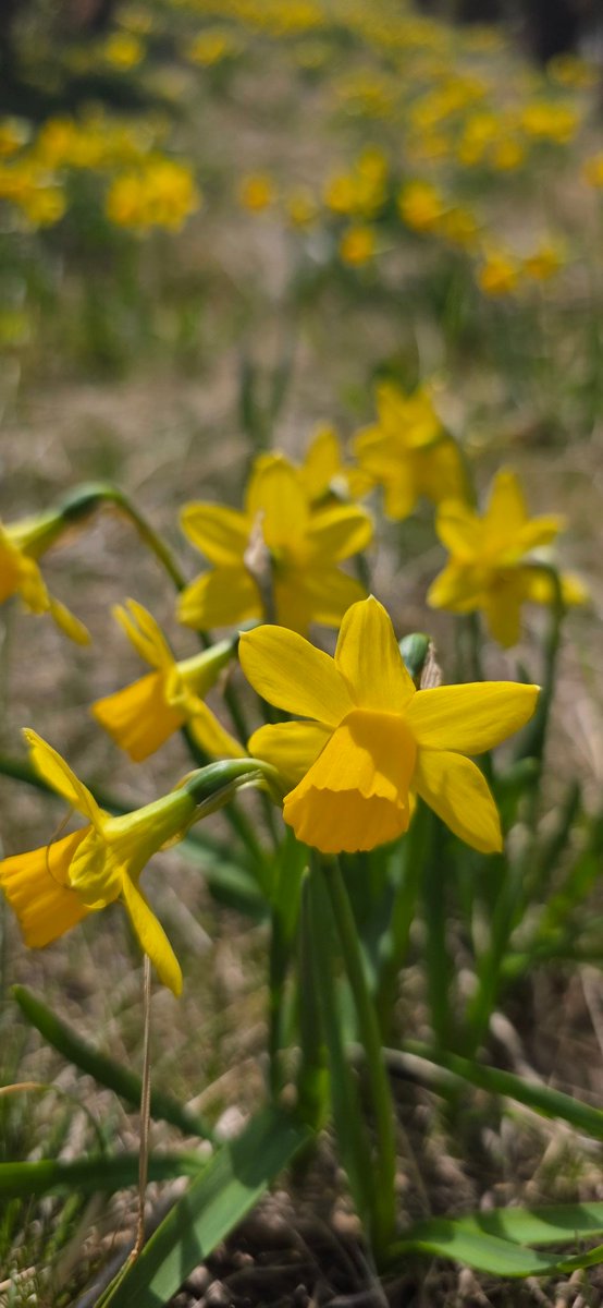 어느새  봄🌼
4월에 뭐가 오는구나..
토욜 근무 뺄 방법을 미리 찾아두자🧐
