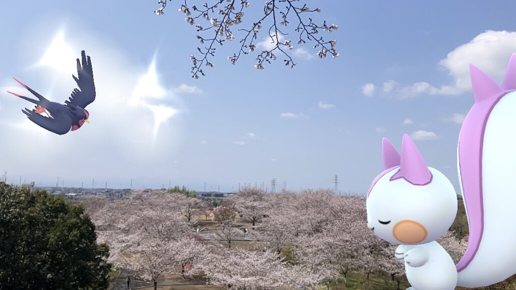 ekoko0314PokeGO's tweet image. 『春風を感じて』

#R8ポケGO観桜会
#ARofTheDay
#GOsnapshot  #GOsnapshotCelebration